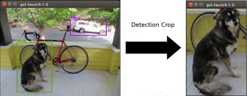 Detection crop example