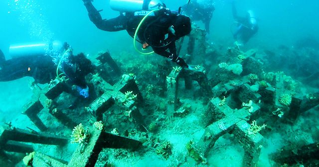 CORaiL_DIVERS-640x335-1.jpg CORaiL_DIVERS-640x335-1.jpg