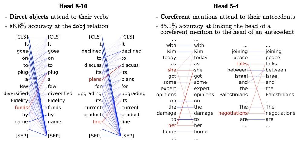 Figure 2_ Left_ BERT base attention-head 10 on layer 8 attends to direct objects of a verb. Right_ Attention-head 4 on layer 5 attends to coreferent mentions. Source_ “What Does BERT Look At_”