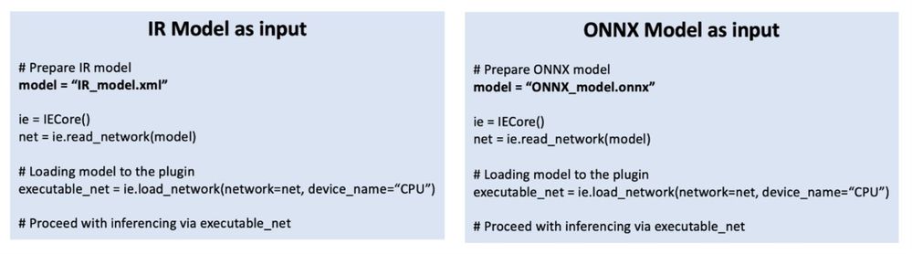 ONNX model inputs