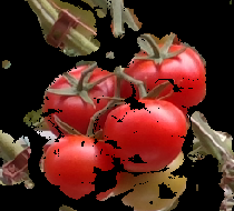 491293-tomato2.png