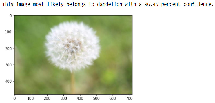 Dandelion.png