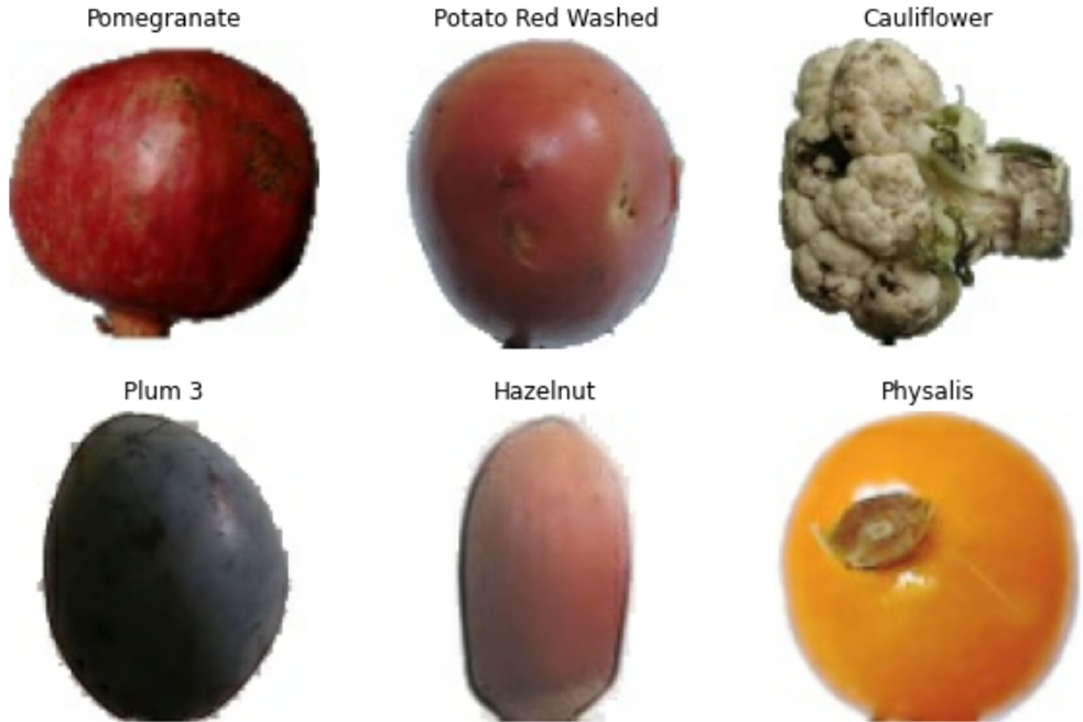 Fruit.png