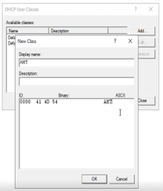 New DHCP User Class parameters.png
