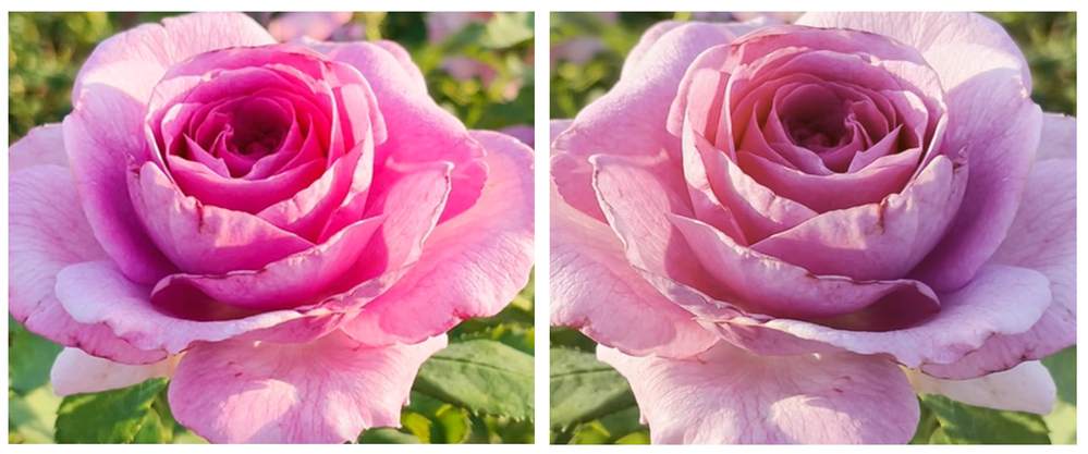 f7a-f7b-tone-mapping-comparision.png