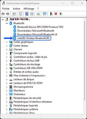 Capture d'écran 2024-01-10 205654.png