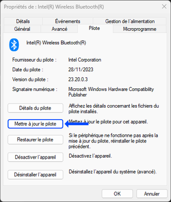 Capture d'écran 2024-01-10 205732.png