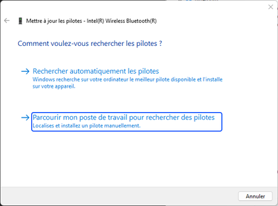 Capture d'écran 2024-01-10 205831.png