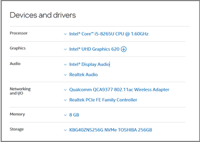 Intel DSA v25_3_24_7 Correct Devices and Drivers Detected 14 Jun 2025.png